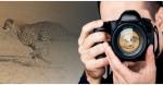 Νέος μηνιαίος customised φακός επαφής από την Eyeshot από απλός σφαιρικός έως &amp; πολυεστιακός αστιγματικός.